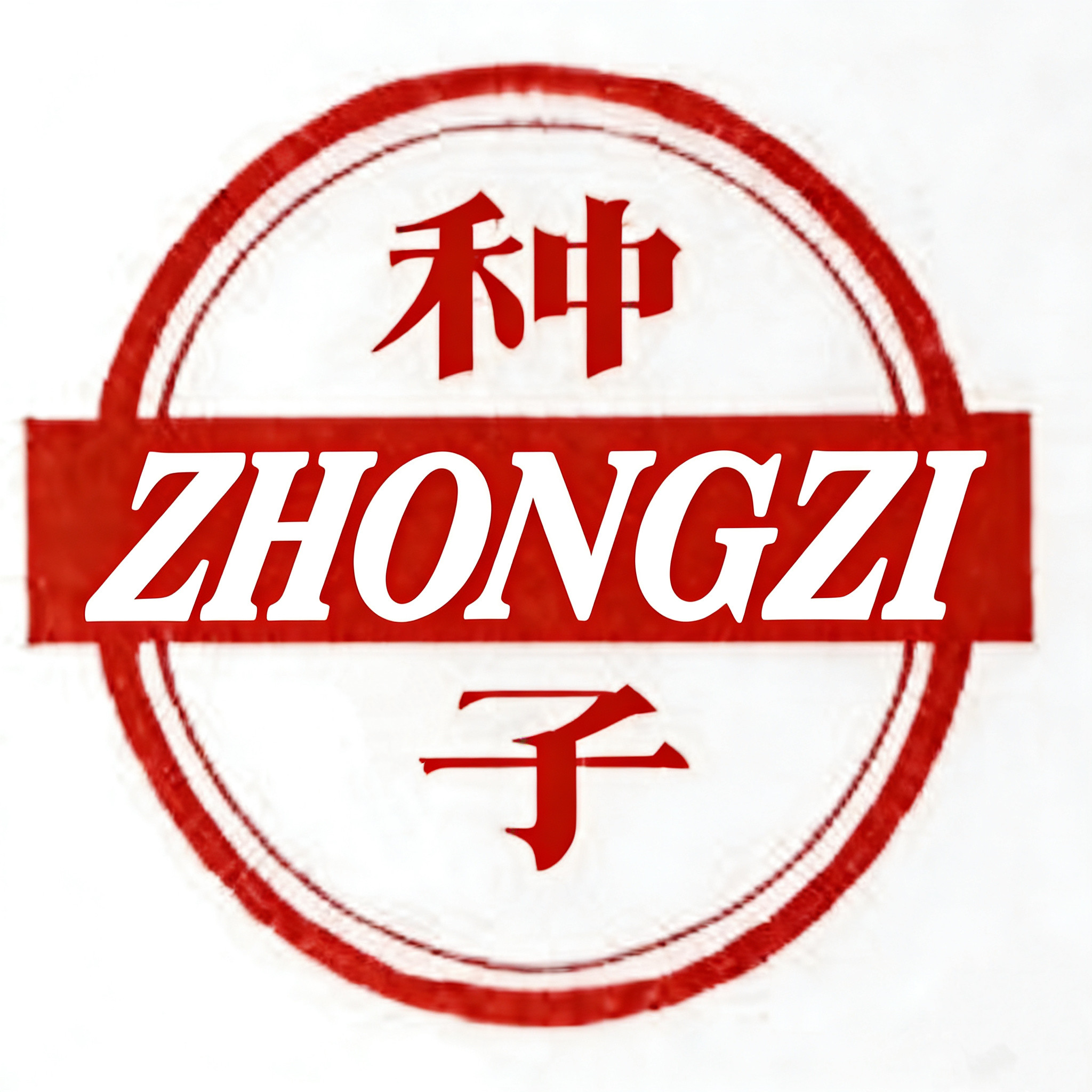 金种子种子纯粮520
