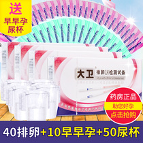 David ovulation test strip 40 10 early pregnancy 50 Urine Cup accurate test ovulation period pregnancy contraception