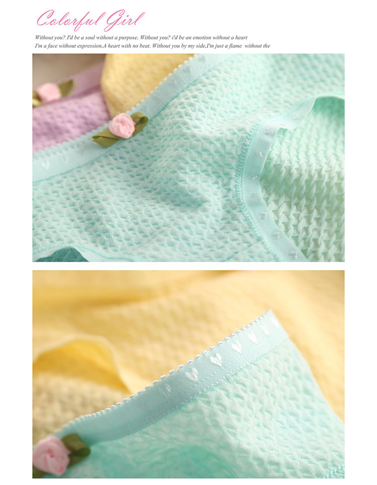 Slip jeune 100% en coton - Ref 653709 Image 52