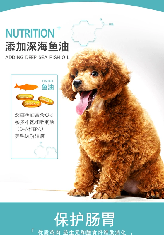 Pet Thân thiện với chó Thức ăn cho chó Teddy Chó trưởng thành 10 Chó phổ thông Loại nhỏ Đặc biệt VIP 4 Gia súc Làm đẹp Lông Nước mắt 40 - Chó Staples