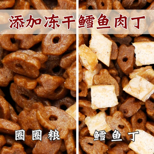 Британская короткая кошачья корма в кошачьи котят универсальные 3 фунта, толстые щеки для волос, без рисовой долины, рисовой рисовой рисовой