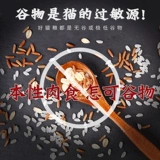 Британская короткая кошачья корма в кошачьи котят универсальные 3 фунта, толстые щеки для волос, без рисовой долины, рисовой рисовой рисовой