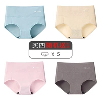 Mxy-D Group-Demerament Blue+теплый цвет кожи+элегантный порошок+хаки (5)