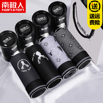 4 pieces of Antarctic mens underwear mens boxer pure cotton summer youth tide size sexy four corner pants