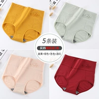 M180-High-Waist Swan-E Group Ginger+Green+Abricot Color+вино красным (5)
