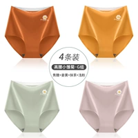 MXY-HIGH-талиста Маленький Daisy-G Group-Caramel+Ginger+Matcha+Light Powder (4 штуки)