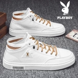 Playboy, обувь, демисезонные трендовые универсальные кроссовки для отдыха, 2020, в корейском стиле