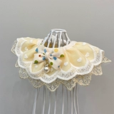 Кошка и собака окружают шею воротник рта полотенце полотенец