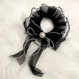 Кошка и собака окружают шею воротник рт рот водяной полотенцем