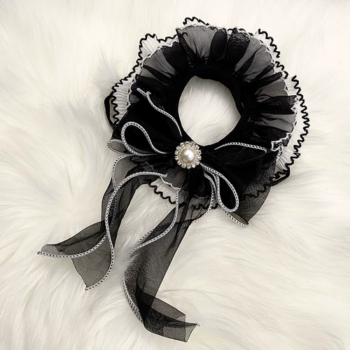 Кошка и собака окружают шею воротник рт рот водяной полотенцем