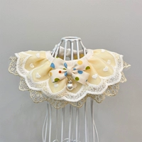 Кошка и собака окружают шею воротник рта полотенце полотенец