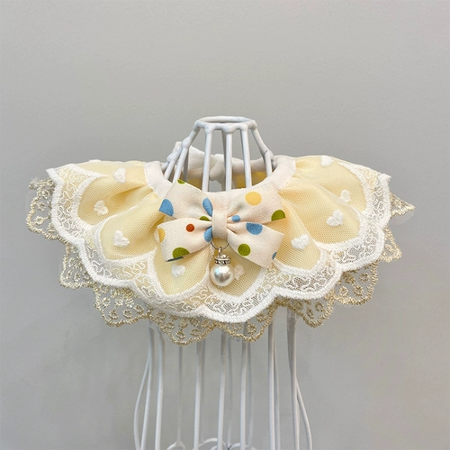 Кошка и собака окружают шею воротник рта полотенце полотенец