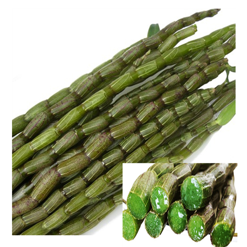 Fresh Dendrobium dendrobium strip 500g Edible Dendrobium maple bucket pollen strip Health herbs Huoshan Yunnan Dendrobium fresh strip