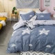 Vỏ chăn bông đan chéo 100% cotton đơn 1.5m đôi 200x230 chăn bông bìa đơn bông mùa thu và đông - Quilt Covers