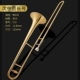 Chính hãng Neptunes B-phẳng alto trombone tenor trombone nhạc cụ kéo ống thử nghiệm hiệu suất dành cho người mới bắt đầu thử nghiệm - Nhạc cụ phương Tây