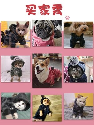 Quần áo cho chó, áo len, quần áo thu đông, Teddy Corgi, mèo, phong cách thời trang, chó nhỏ, cún, quần áo thú cưng - Quần áo & phụ kiện thú cưng