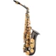 Saxophone mới Salma Alto / Nhạc cụ / Tube Black Nickel Gold Saxophone dành cho người mới bắt đầu - Nhạc cụ phương Tây