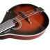 Bảng điều khiển vân sam cao cấp có lỗ tròn màu đỏ tía M200 với phụ kiện 7 món đàn mandolin tám dây Nhạc cụ phương Tây mandolin - Nhạc cụ phương Tây Nhạc cụ phương Tây