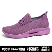 Purple 2 [1866 Model Model]