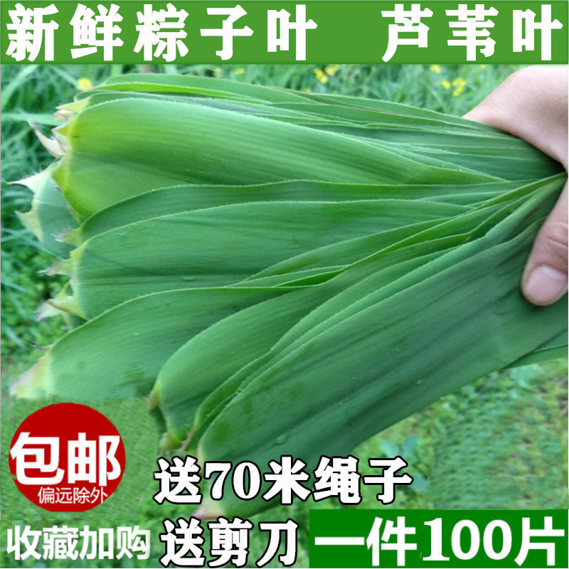 Super-extra-large rice dumplings Guangxi Fresh Large Number of Reed Leaves for Home Zhengzong Glutinous Rice Dumplings Special Wild Free Mail