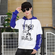 Boys sweater 18 spring and autumn 16 big boy 11 years old Korean version of tidal ocean long sleeve autumn junior high school students fake two tops