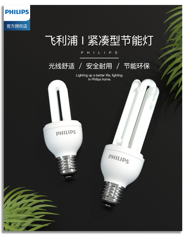 Philips Electronic Zhener -Details.jpg