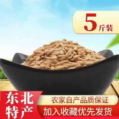 New oat fall Farm oats farm oat grains steamed rice porridge grains 5 pounds loading