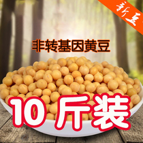 Northeast soybean Heilongjiang farmhouse produced soybean milk soybean sprouts non-genetically modified soybean 10kg