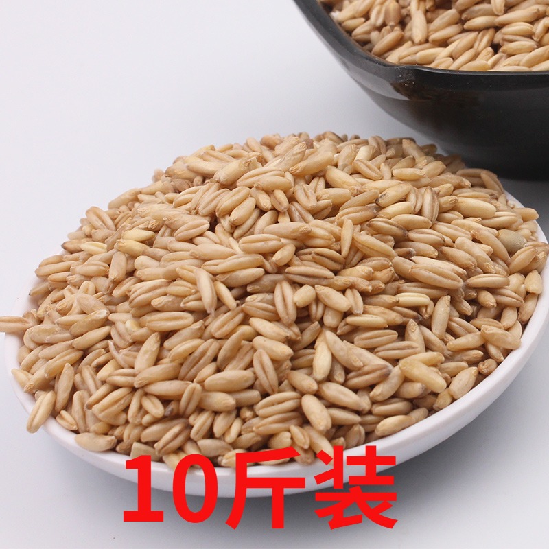 New freighter oat rice farmers produce grain bare grain barn barley barley barley bulk load of Inner Mongolia 10 kg
