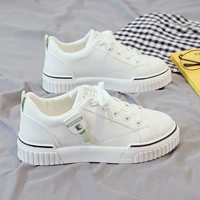 Белая и зеленая (кожаная лапша)