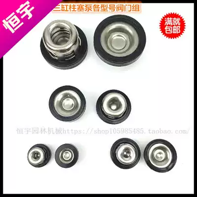 21 26 28 30 40 60 80 120 type three-cylinder plunger pump seat valve group valve spray pump accessories
