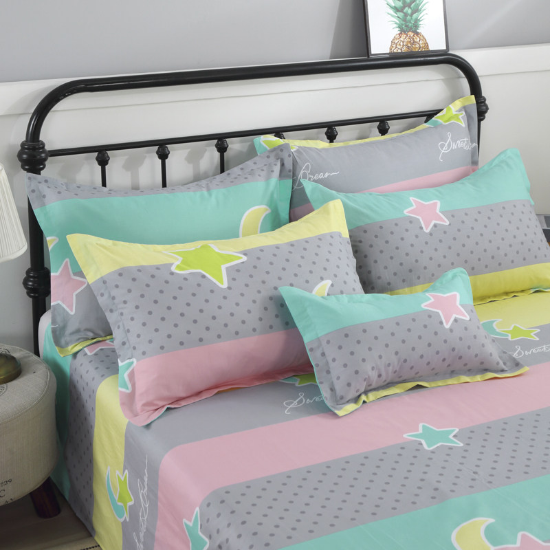 Cartoon pure cotton pillow sleeve cute single cotton student pillow case single 30x50 40x60 48x74