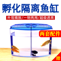 Desktop small fish tank small desktop living room mini Betta special phoenix tail cold water fish tropical fish isolation incubator box