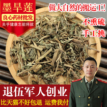 Chinese Herbal Medicine Dry Goods Dry Lotus Grass Fresh Ink Dry Lotus Grass 500 gr Shop Otherwise Glossy Privet Mulberry