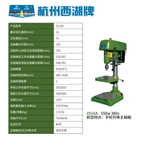 Hangzhou West Lake Z516A/Три фаза 380 В/550 Вт