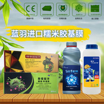 Blue feather imported mildew-proof glutinous rice glue childrens wallpaper wall covering special wallpaper glue treatment latex paint wall base film