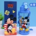 Disney Water Cup dành cho trẻ em Cốc rơm bằng nhựa Mẫu giáo Bé mùa hè Cốc học sinh Khóa ấm đun nước chống rò rỉ - Cup / Table ware / mài / Phụ kiện Cup / Table ware / mài / Phụ kiện