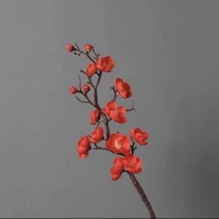 Взрослый стиль [красная слива Blossom] 38 см Классический танец 