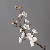 Взрослая модель [Белая слива Blossom] 38 см Классический танец 