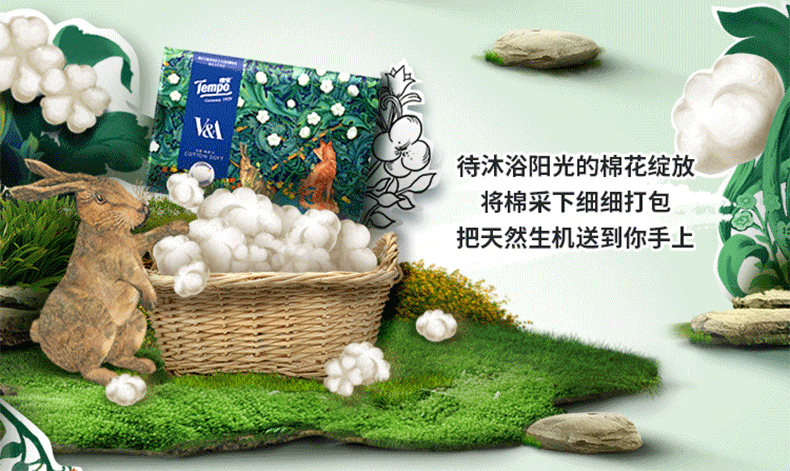 德国 得宝 洗脸巾 棉柔擦脸巾 60抽*3包 图4