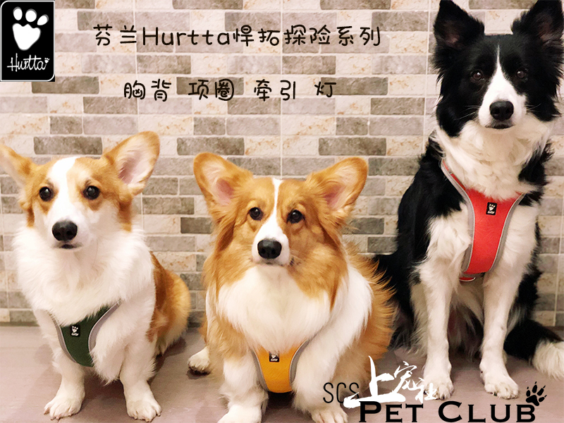 Finnish hurtta Hutuo dog outdoor fun adventure chest hug baby bag collar neck sleeve traction rope explosion-proof and comfortable
