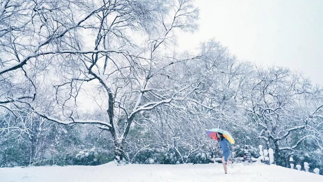 喜提2020第一场雪!雪后的江南美爆了37