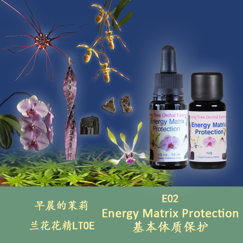 E02 Basic physical protection clean up nourishing essential substance of British Orchid Semen Liquid Particles