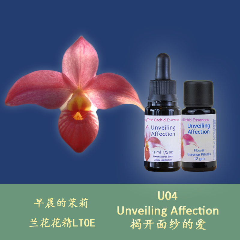 U04 Unveiled Love, Love and Nourishment From Yourself to Others UK LTOE Orchid Flower Essence Particles