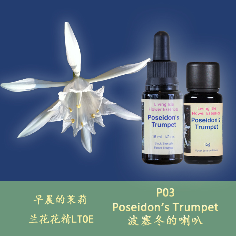 P03 Poseidon's Horn Cleans Aggression, Warlike Destruction, British Orchid Flower Essence Liquid Particles