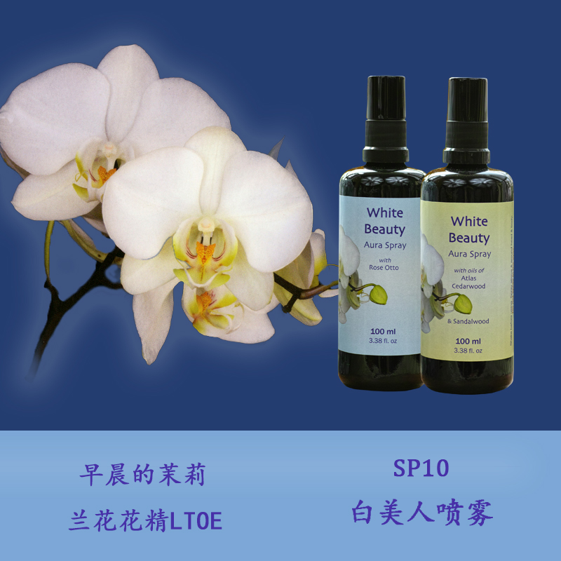 SP10 white beauty appeasement to purify the soft and beautiful British life tree Lanflower bouquet 100 ml for external spray