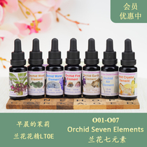 O01-O07 Orchid Seven Elements UK LTOE Flower Essence granules liquides