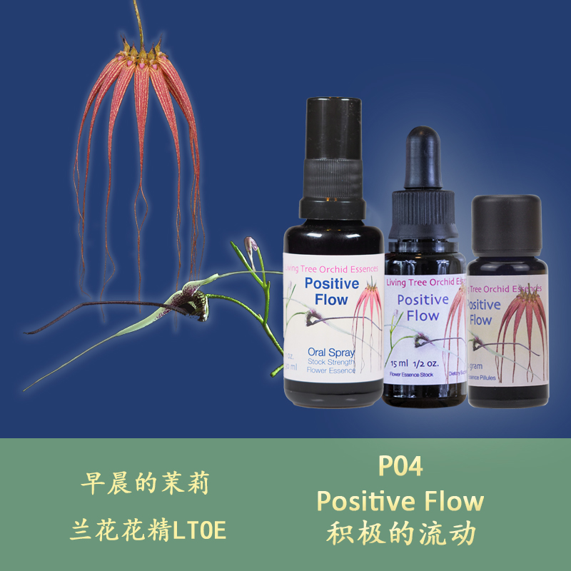 P04 positive flow positively brings good luck towards the future UK LTOE Lanflower semen body granules
