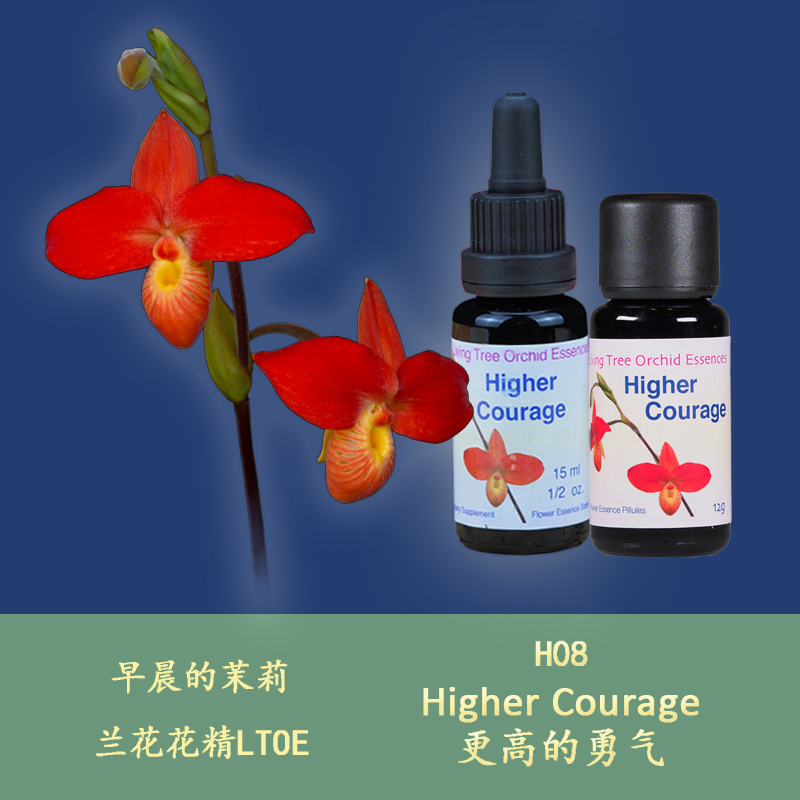 H08 higher courage to recover the pure and deep courage of the heart UK LTOE Lanflower semen body granules