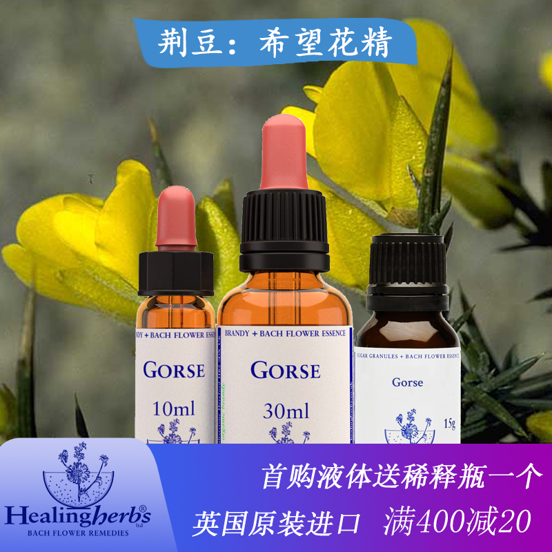 Gorse Bach Bequ Bach Flower Essence navel long-term sense of despair in some way give up hope stock solution granules
